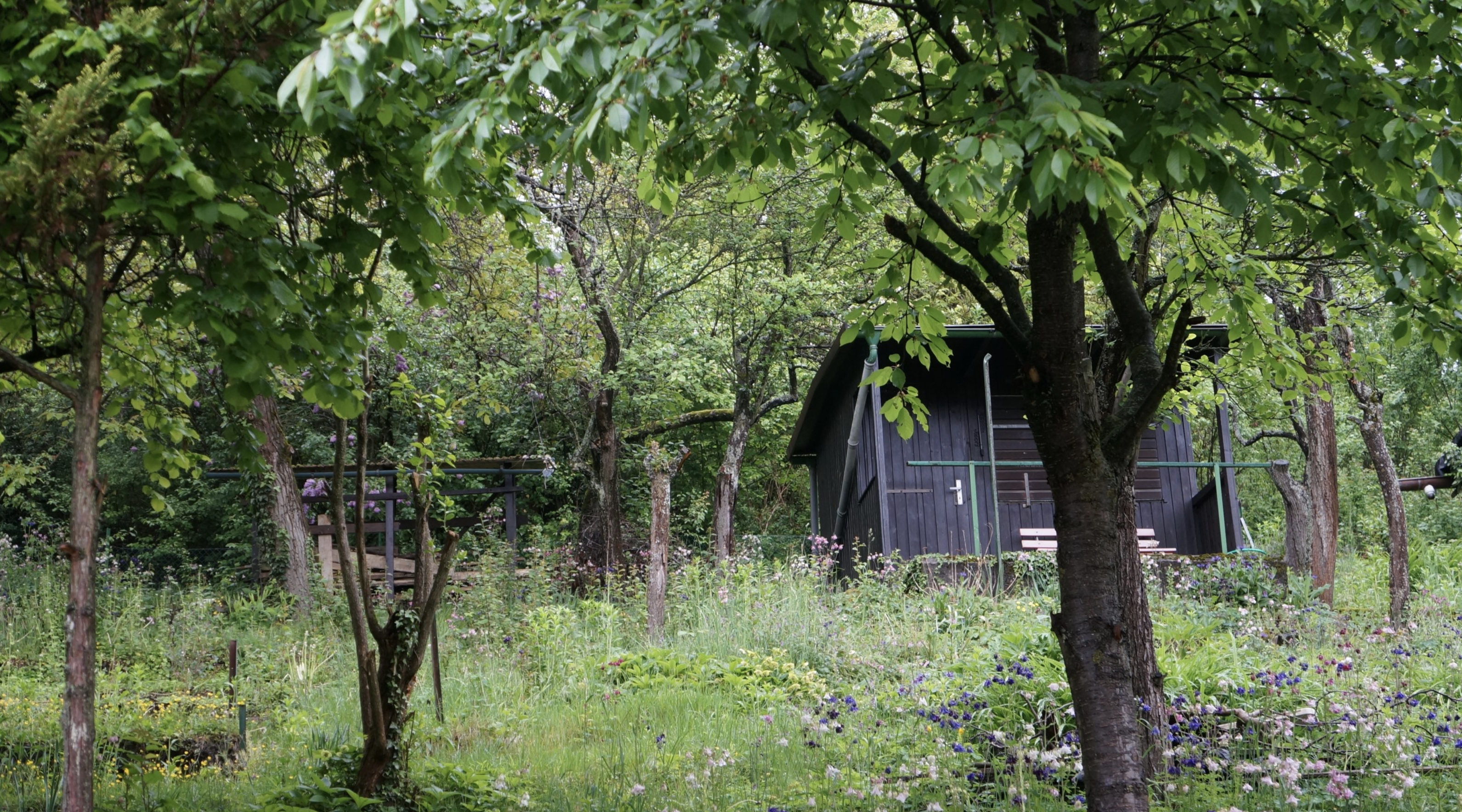 Ehemaliges Gartengrundstück In den Maihälden - ehemaliges Weinbaugebiet
